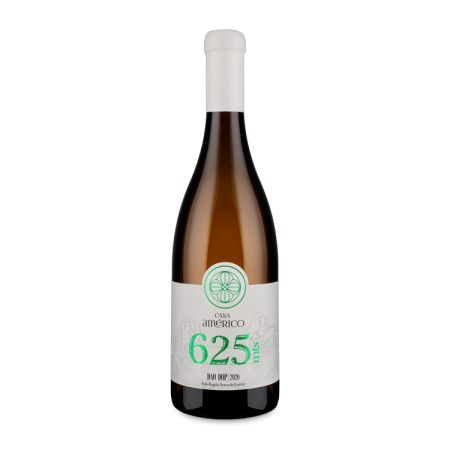 Casa Américo 625Mts Branco